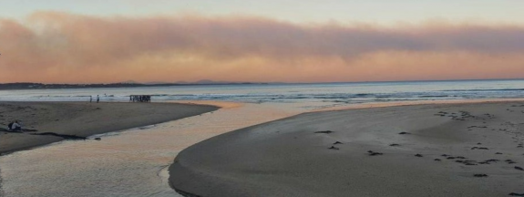 Silke Müller-Jatzwauk